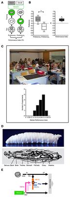 Pavlovian Conditioning of Larval Drosophila: An Illustrated, Multilingual, Hands-On Manual for Odor-Taste Associative Learning in Maggots